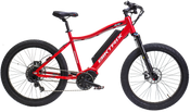 Custom Color Bike